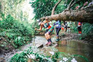 BIB: 
                            <button type="button" onclick="openModal(25517799)" class="btn btn-primary btn-sm float-right btn-popup" data-toggle="modal" data-target=".modal-high-quality">
                        <i class="fas fa-shopping-cart"></i> Add to Cart
                    </button>
                                            <button type="button" onclick="isThisMe(25517799, true)" class="btn btn-success btn-sm float-right btn-popup btn-isme hidden" data-toggle="tooltip" data-placement="bottom" title="นี่คือรูปของคุณใช่ไหม คลิกที่นี่เพื่อเอาเข้าอัลบั้ม">
                        <i class="fas fa-plus"></i> Add to album
                    </button>
                    <button type="button" onclick="isThisMe(25517799, false)" class="btn btn-warning btn-sm float-right btn-popup btn-isnotme hidden">
                        <i class="fas fa-ban"></i> Remove from album
                    </button>